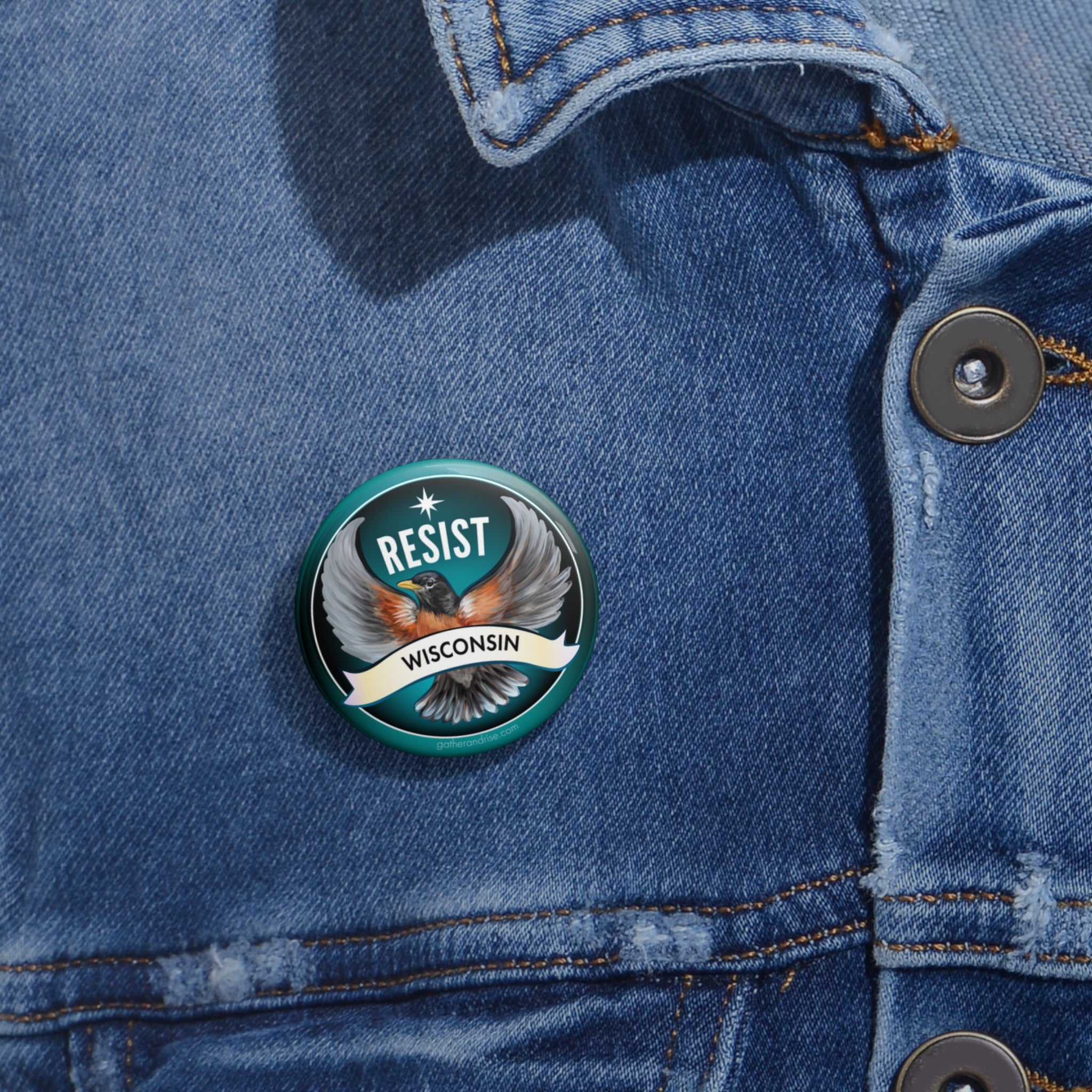 Rebel Resist Robin State Bird Of Wisconsin Pin