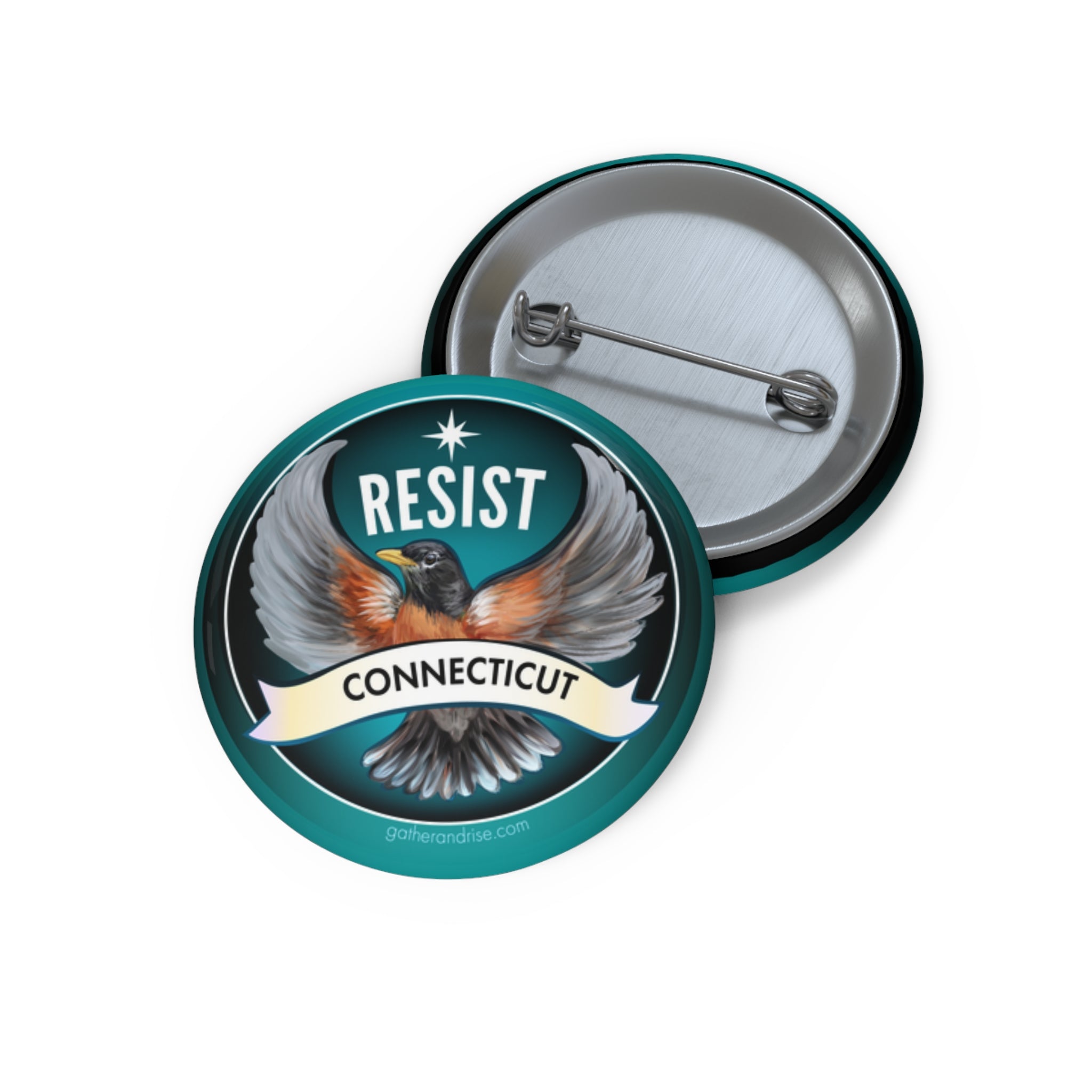 Rebel Resist Robin State Bird Of Connecticut Pin