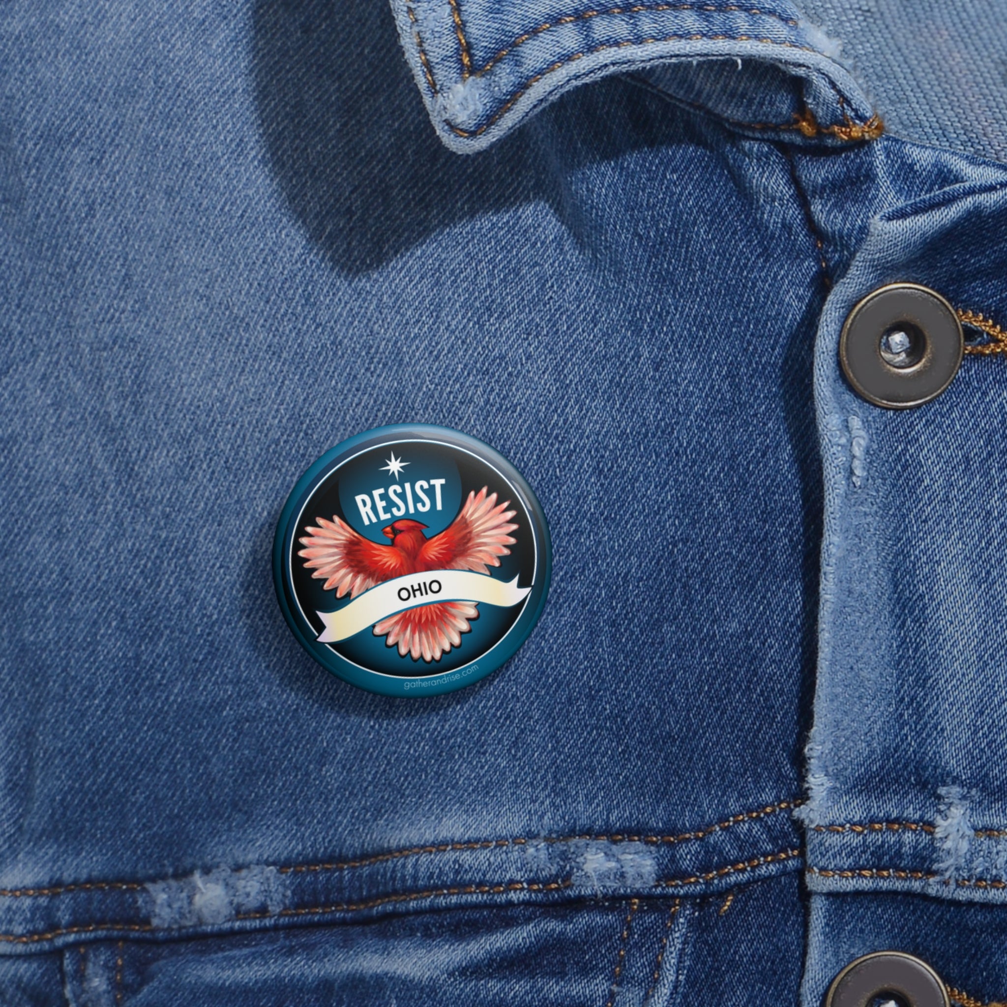 Rebel Resist Cardinal State Bird Of Ohio Pin