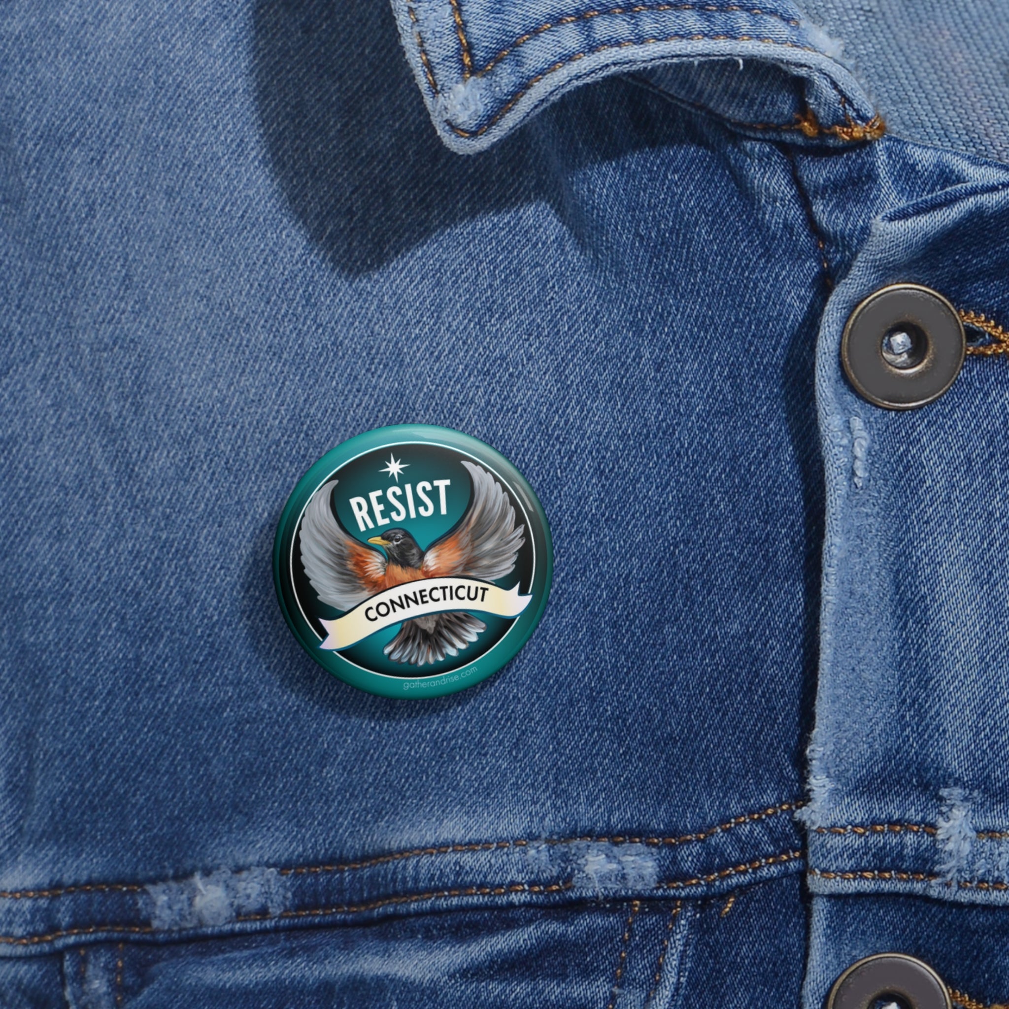 Rebel Resist Robin State Bird Of Connecticut Pin