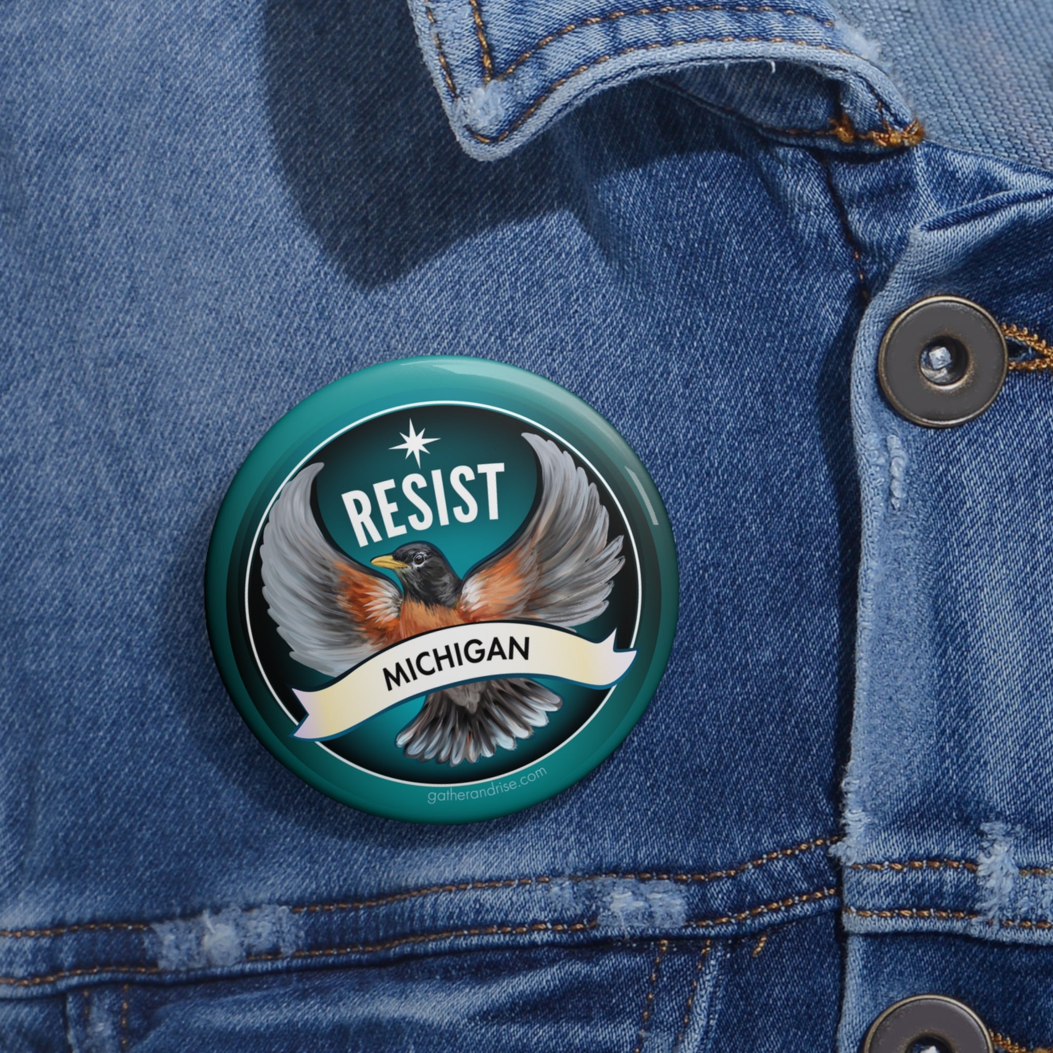 Rebel Resist Robin State Bird Of Michigan Pin